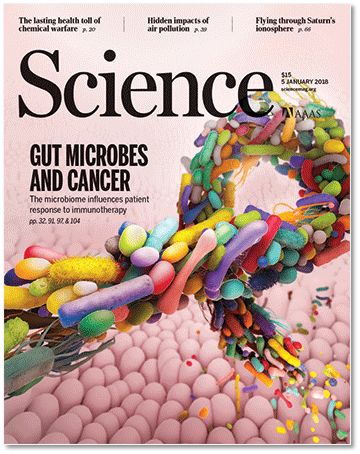 朋友还是敌人：如果没有微生物，地球会变得怎么样？