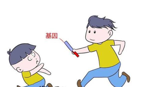 双顶径和头臀长对照表,双顶径和股骨长能看出宝宝多重吗