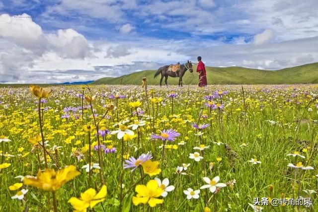 色达自驾成都攻略最佳路线,色达县自驾成都