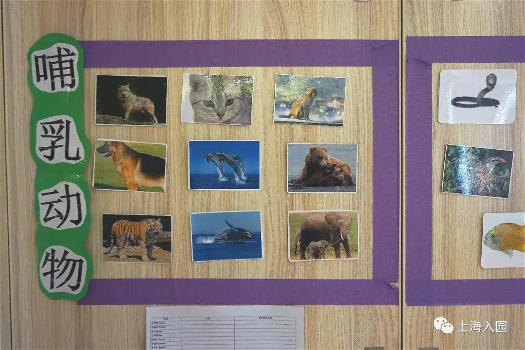 这所美式风格幼儿园不仅颜值高，课程还扎实到爆！外教超稳定