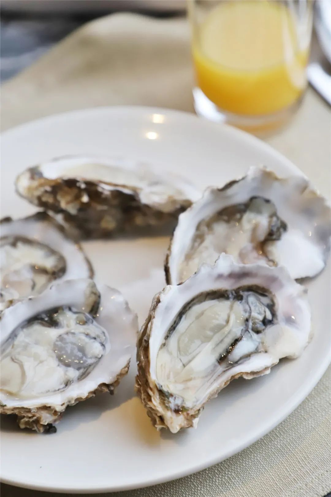 开启非凡住宿万豪旅享家,万豪旅享家万物皆可串