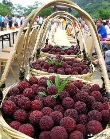 台州境内游,北斗游中国