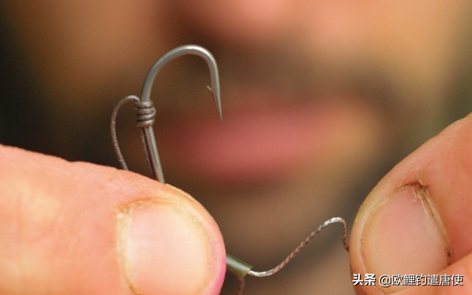 话说欧鲤钓最新消息,话说欧鲤钓鱼完整版