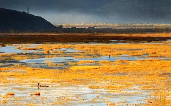 哪怕你去过云南不下10次,秋天的云南都值得你再来一次