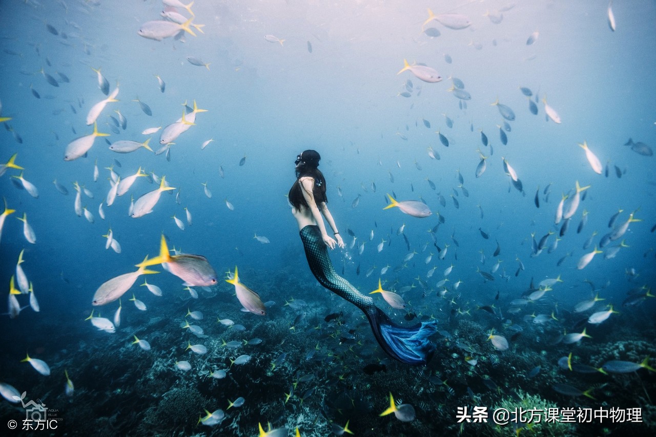 北方课堂初中物理,初中物理压强选择题易错题集锦