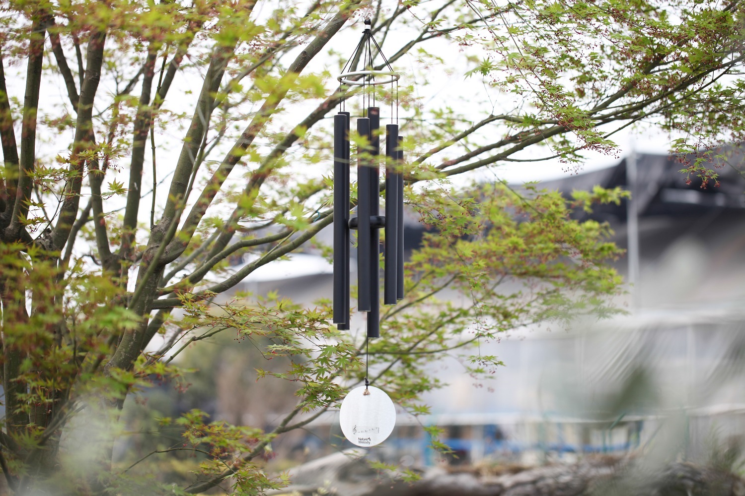 海蒂和噜噜的花园值得推荐吗,海蒂和噜噜的花园打卡