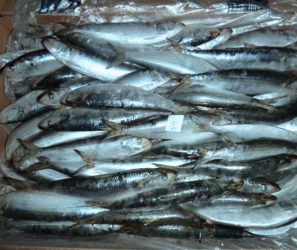 常见的能吃的海鱼大全,市面上经常食用的海鱼有几种