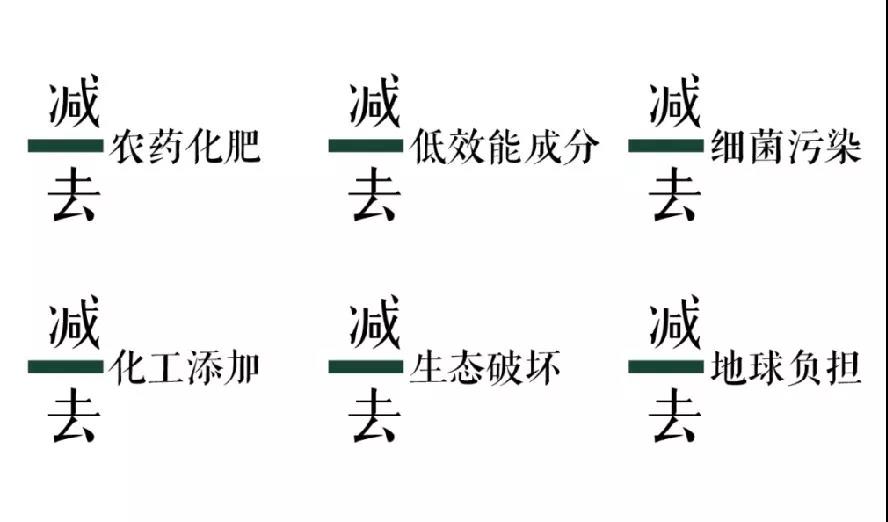 三草两木真实测评,三草两木十周年品牌感