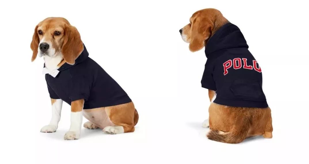 宠物比人吃得好,宠物比人金贵系列