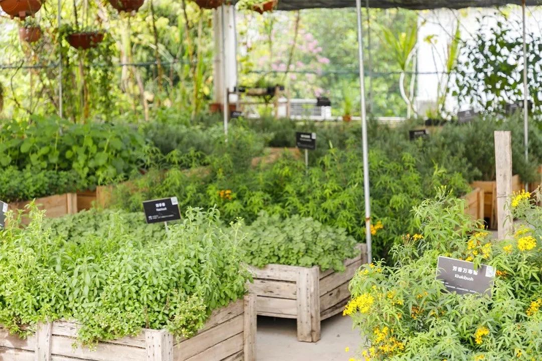 深圳十个小众打卡地,在深圳这些地方既小众又值得打卡