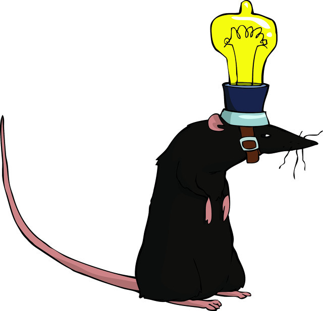 抓老鼠三招,招招灵