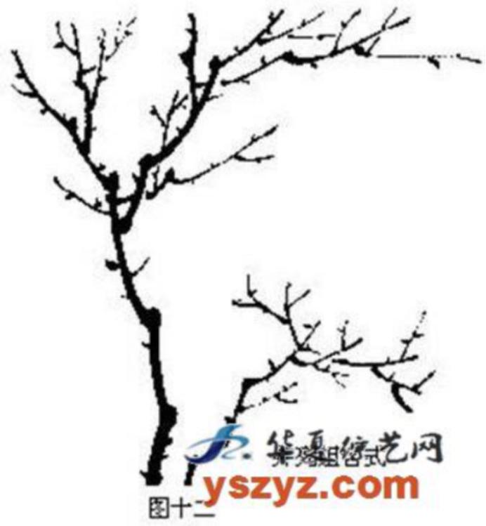 梅花画法简笔画,梅花画法的视频