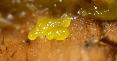 医生手术后最想做什么,医生做完手术以后会怎样