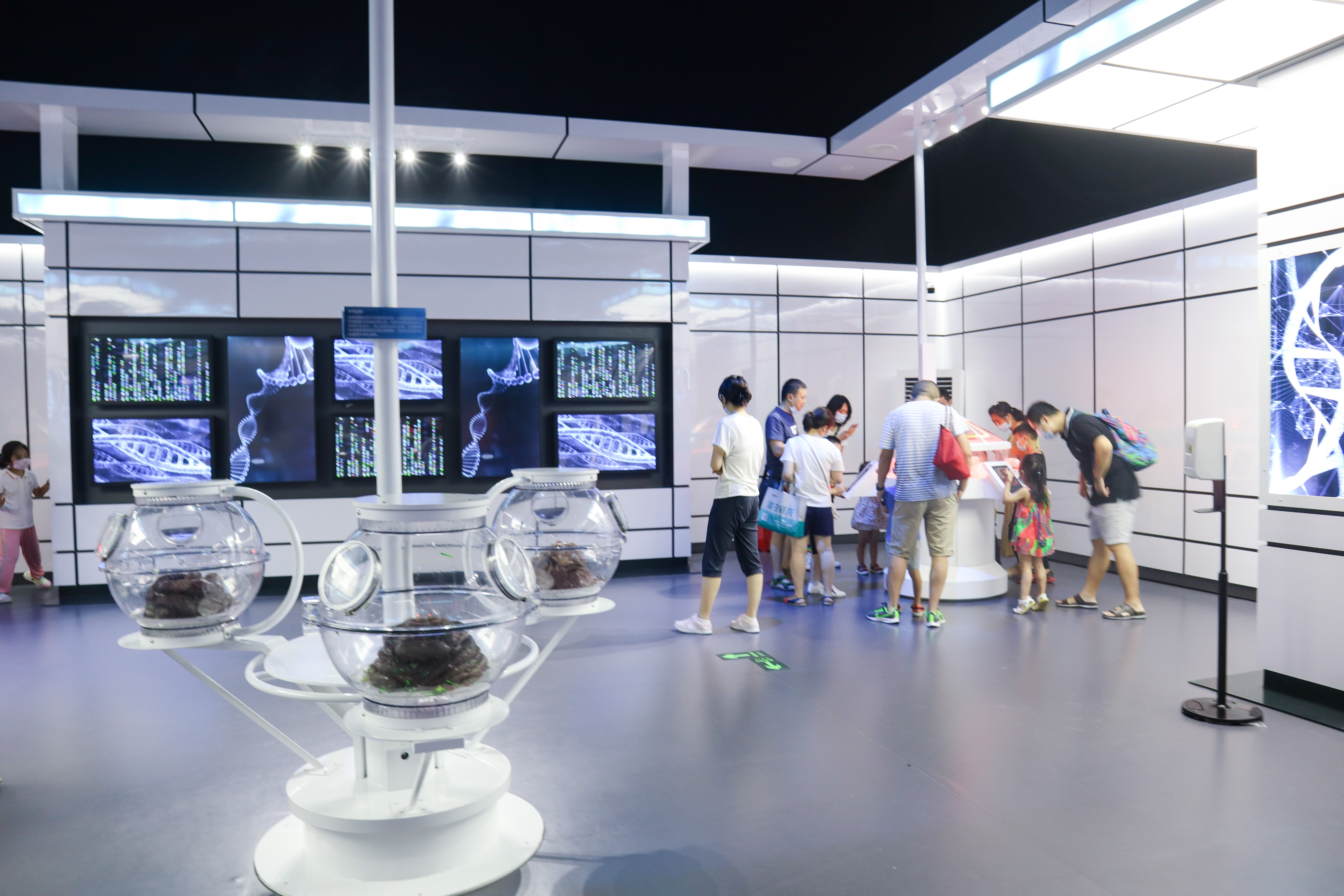 来到侏罗纪公园遇到超真实的恐龙,侏罗纪公园恐龙大探秘