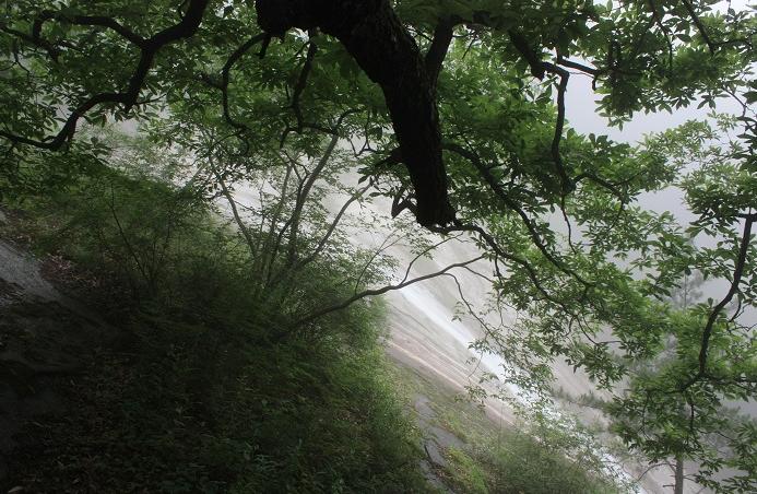宝天曼漂流团游,宝天曼景区一日游攻略最新