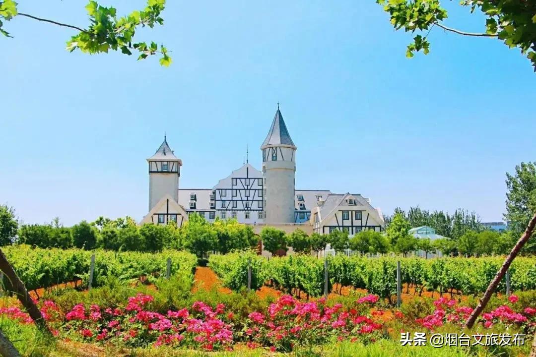 烟台人烟台攻略,烟台张裕酒庄城堡旅游攻略