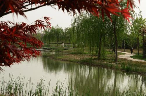 郑州五一近郊游的好地方,不出郑州就能游玩的地方