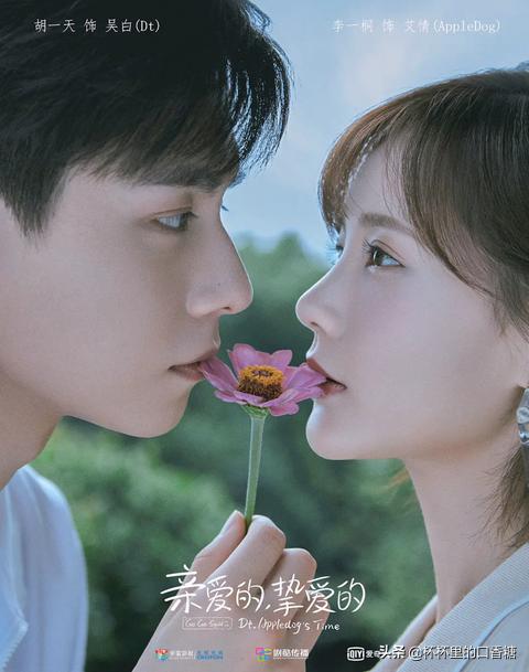 2021校园＋职场爱情甜宠剧！杨幂《定律》、热巴《荣耀》糖分超标