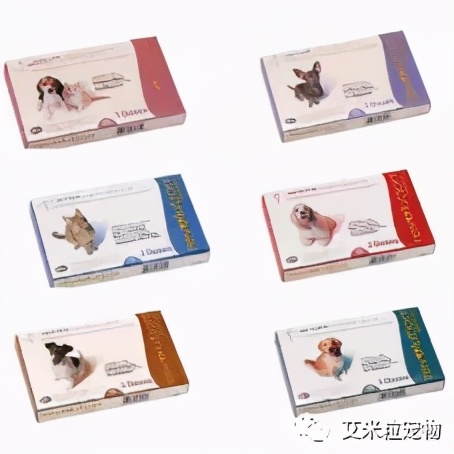 猫咪内驱虫的正确方法,狗狗驱虫和猫咪驱虫
