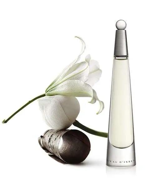 三宅一生的一生之水有几款,三宅一生一生之水版本