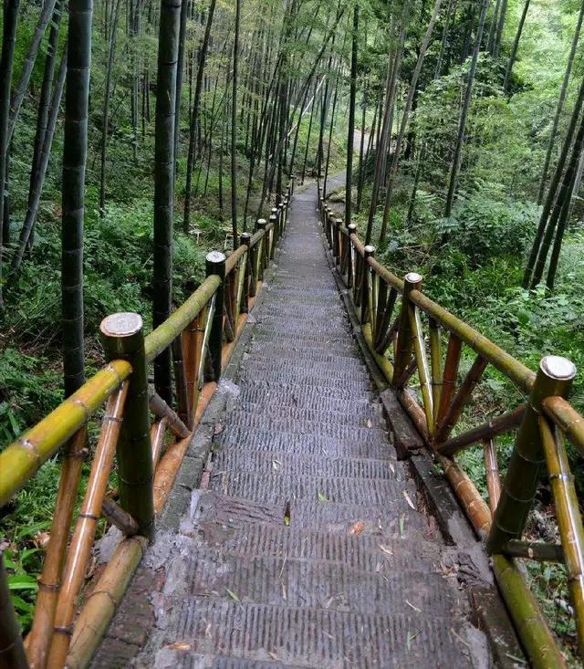 宜宾市长宁蜀南竹海,我的中国行