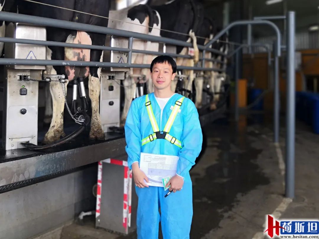 夏季乳房炎防控与药浴液选择秘诀