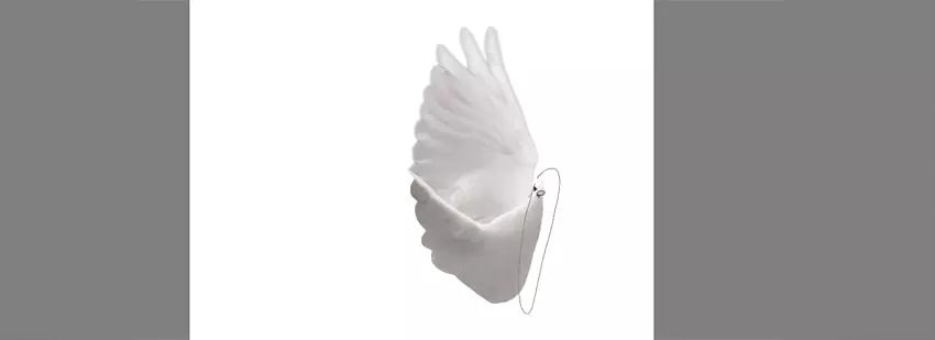 ps花仙子合成教程,ps合成狗狗教程