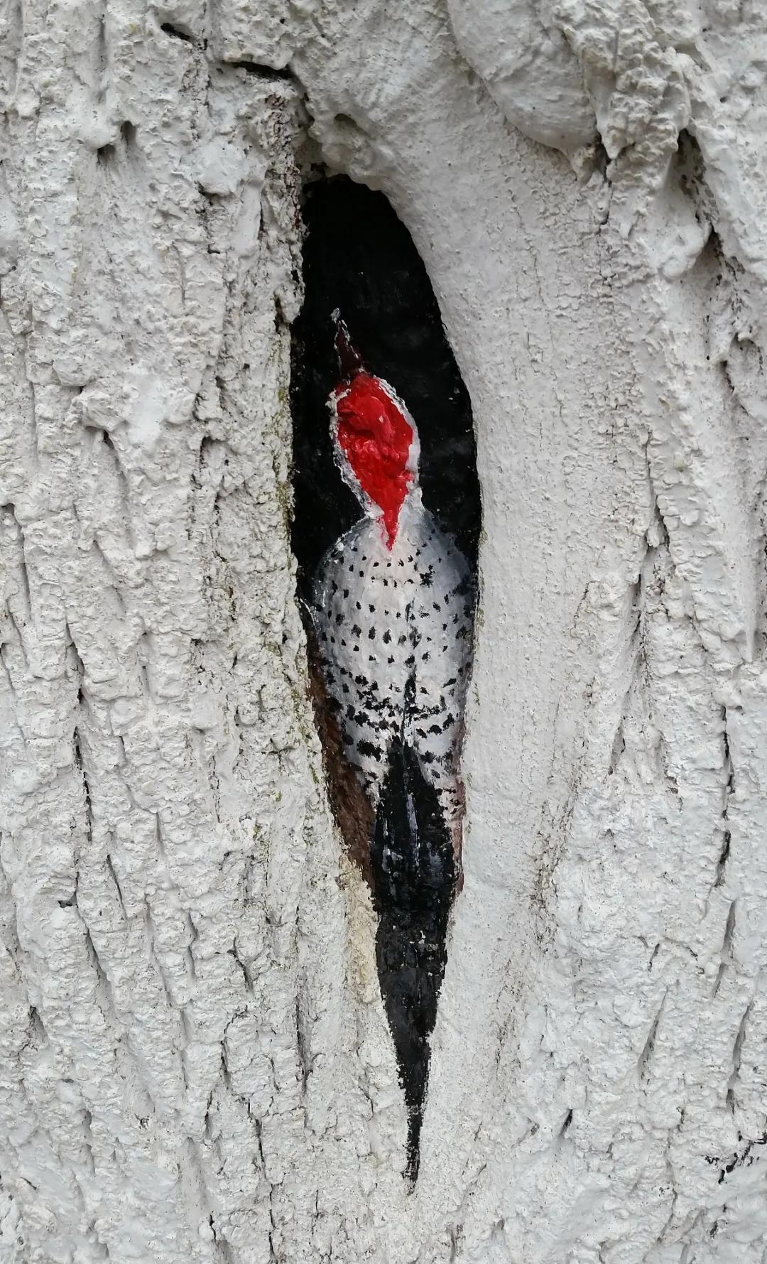 西二旗的互联网女工，租不到一个安全的房间