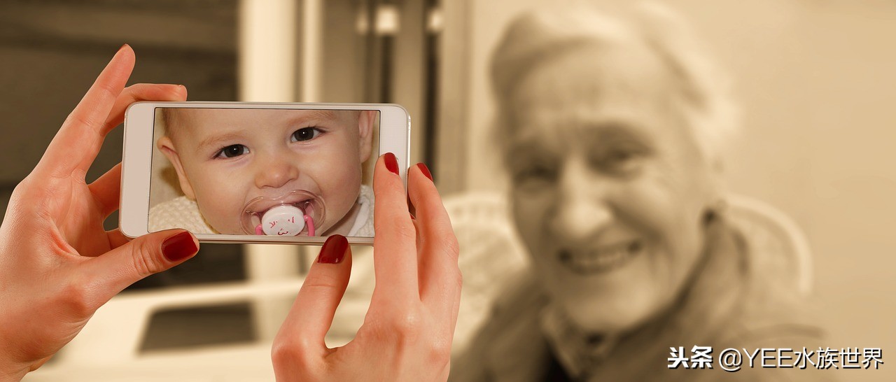 怕什么来什么,鱼在秋冬季得肠炎怎么办?