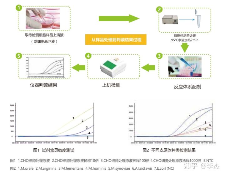 细胞培养出现链球菌污染怎么办,细胞培养如何应对支原体污染