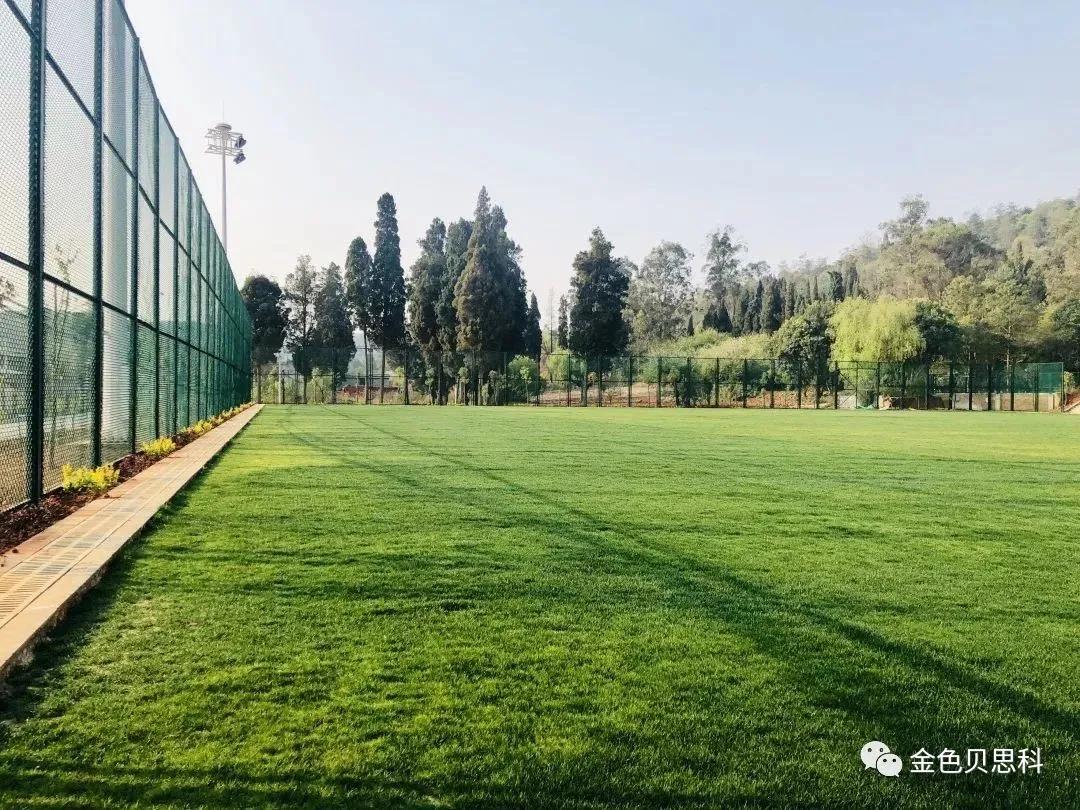 昆一中西山学校足球,昆一中优质生源基地