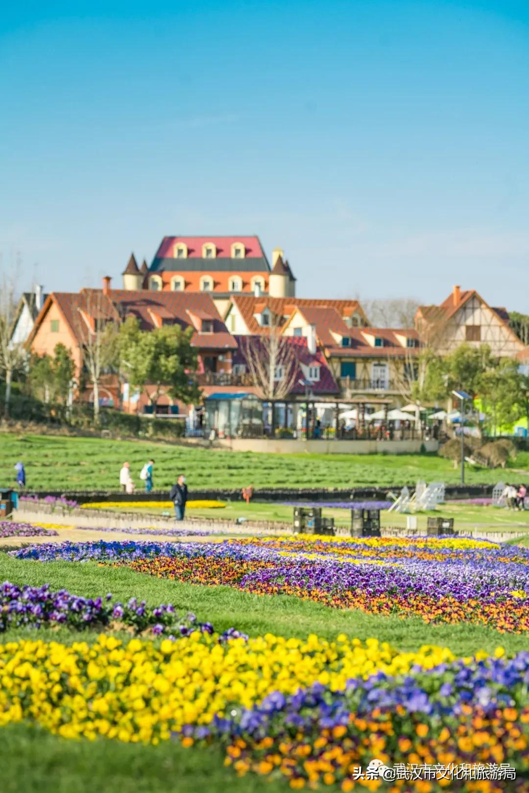 蔡甸区游玩,蔡甸在哪里