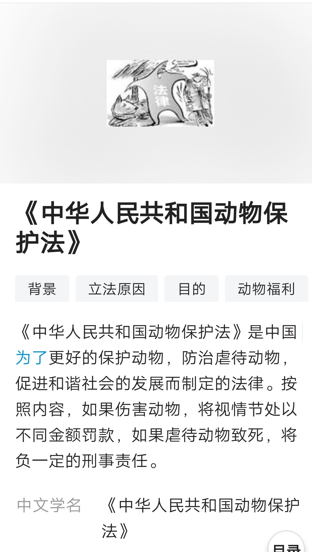 40只流浪猫被人虐待,40多只流浪猫被人虐待