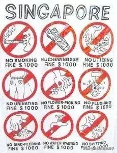 新加坡用什么上网,新加坡上网怎么上