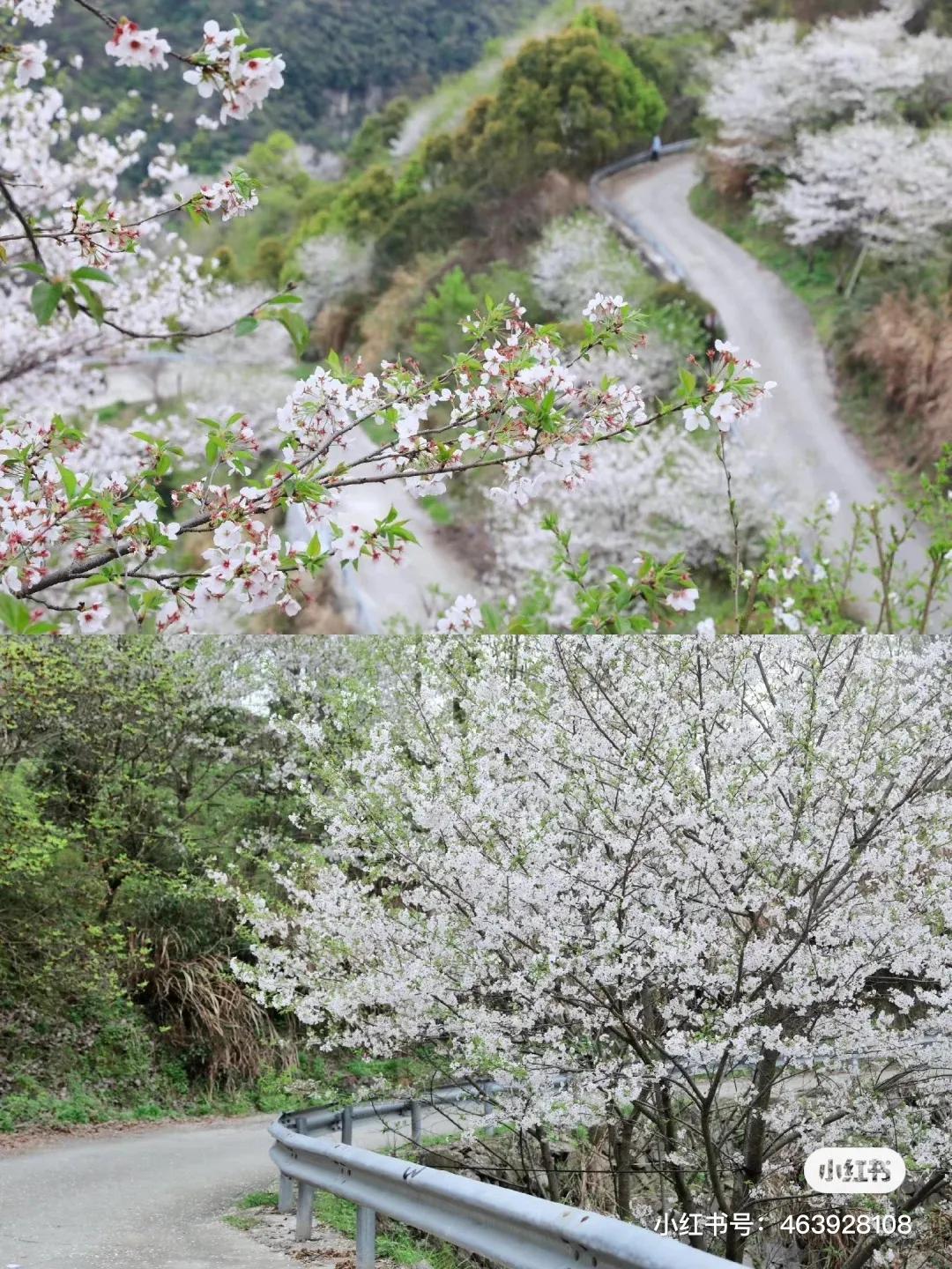 天津出发哪个国家机票便宜,天津到哪旅游的机票便宜