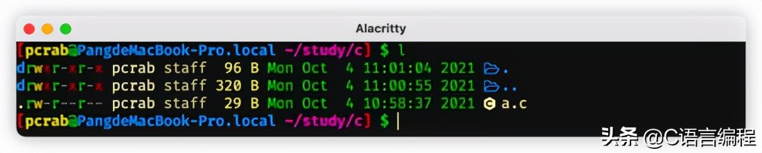 计算机专业：老师也许会跳过的C语言基础知识，赶紧补上一课