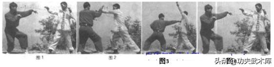 螳螂拳套路技击图解,七星螳螂拳截捶套路