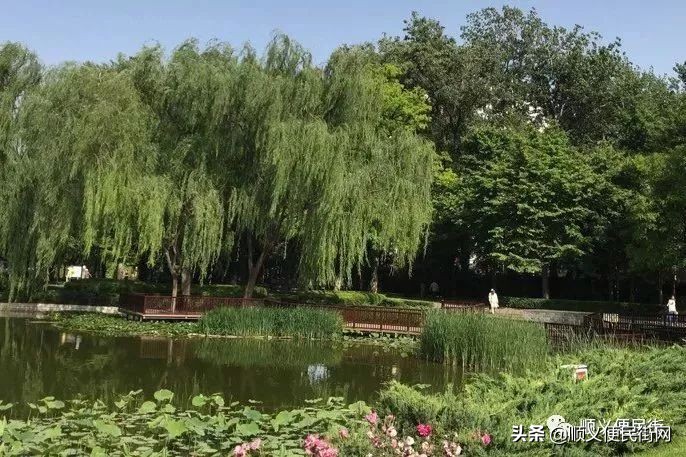 顺义65岁免费景点,顺义2022年免费景点