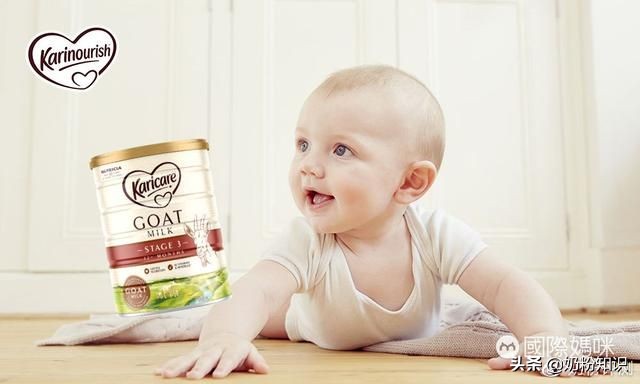 佳贝艾特羊奶粉有机款测评,测评五款热门羊奶粉