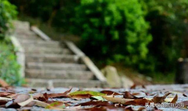 珠海四个经济特区,珠海什么时候成的经济特区