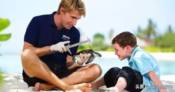 马尔代夫岛自由行攻略,马尔代夫居民岛穷游攻略