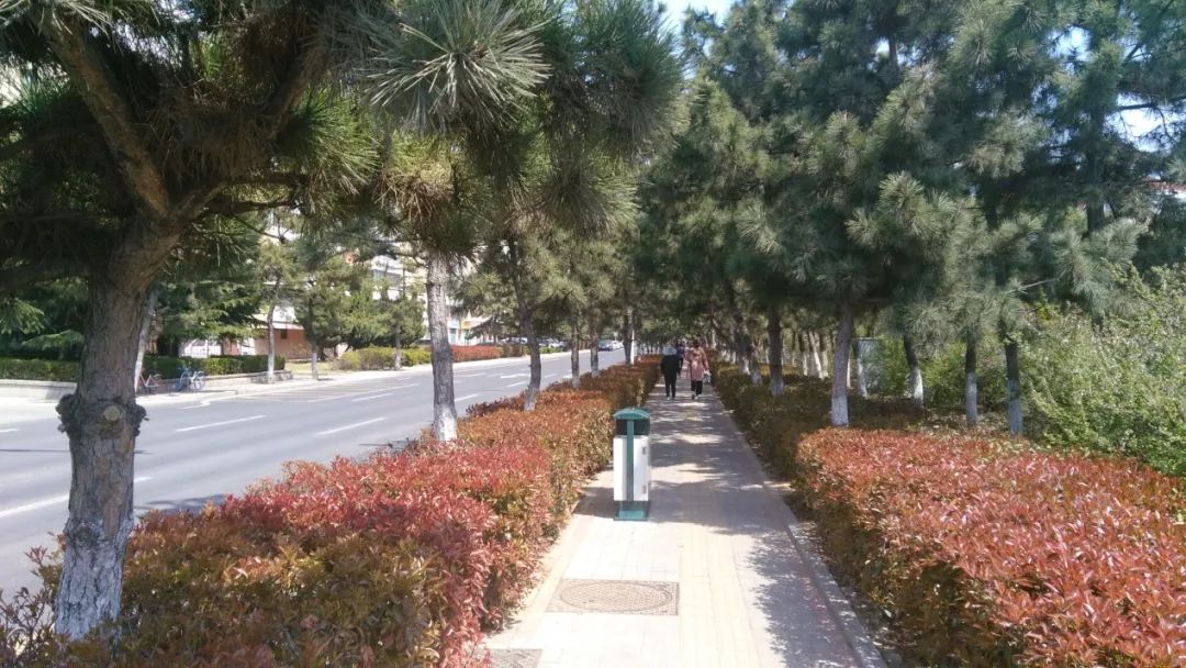 威海在哪里买房比较好,威海70万在哪买房合适