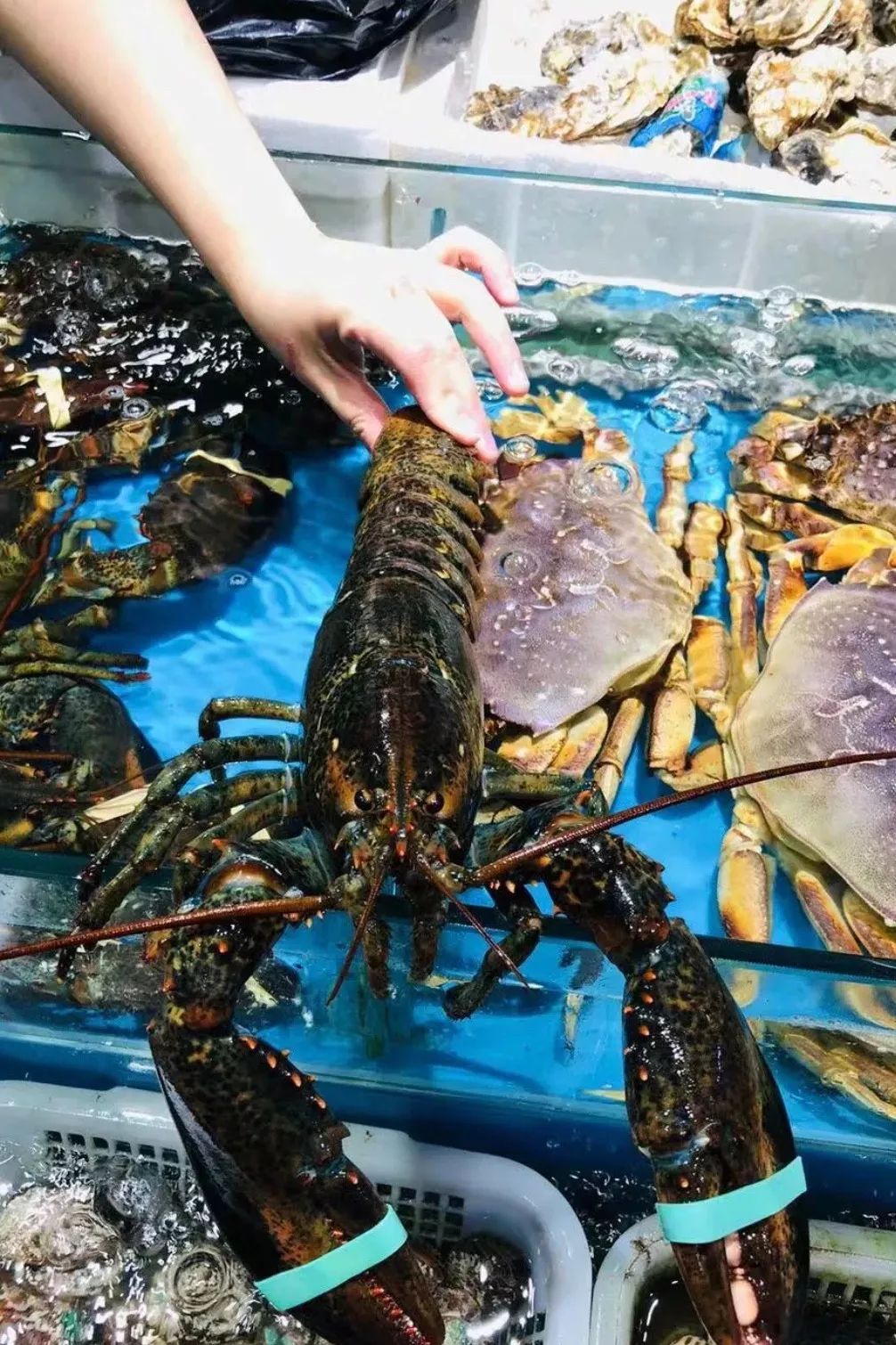 最新最全版私藏版《西安批发市场地图》来啦