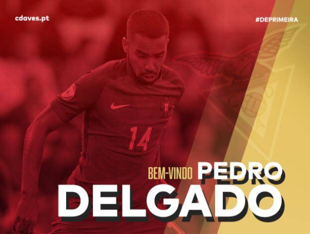 鲁能德尔加多资料,鲁能德尔加多回济南了吗