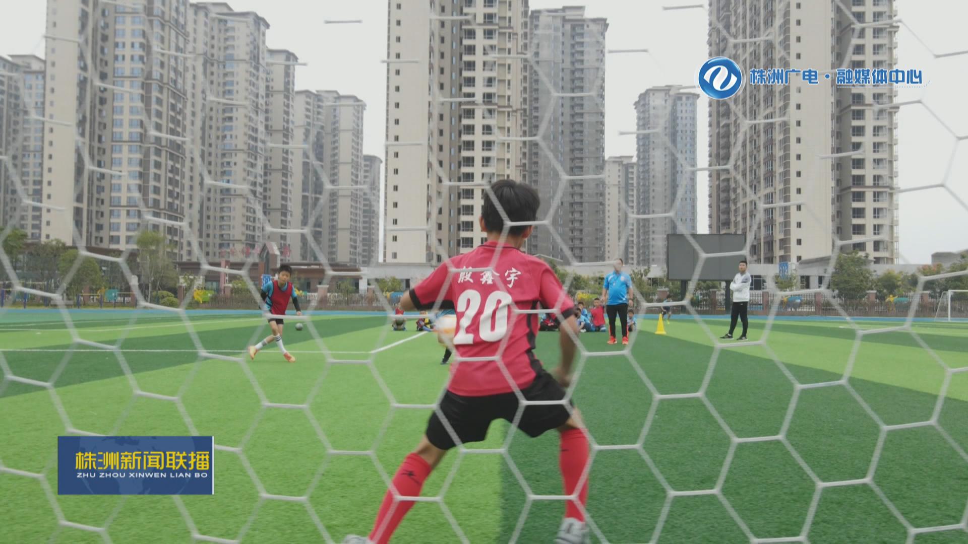 株洲市有哪些院校,株洲体育特色学校排名