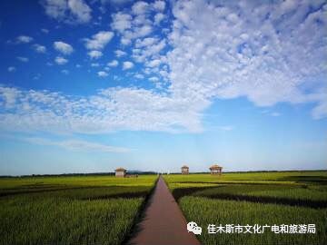 富锦万亩稻田秋收场景,富锦万亩稻田公园由来