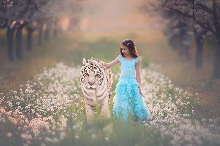 童话里的故事都是骗人的下一句,为什么说童话故事都是骗人的