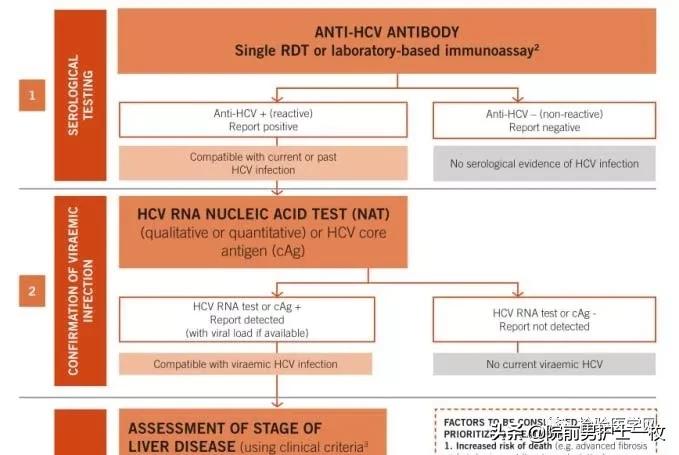 丙肝病毒发现者拉开诺奖周序幕,丙肝病毒诺贝尔医学奖