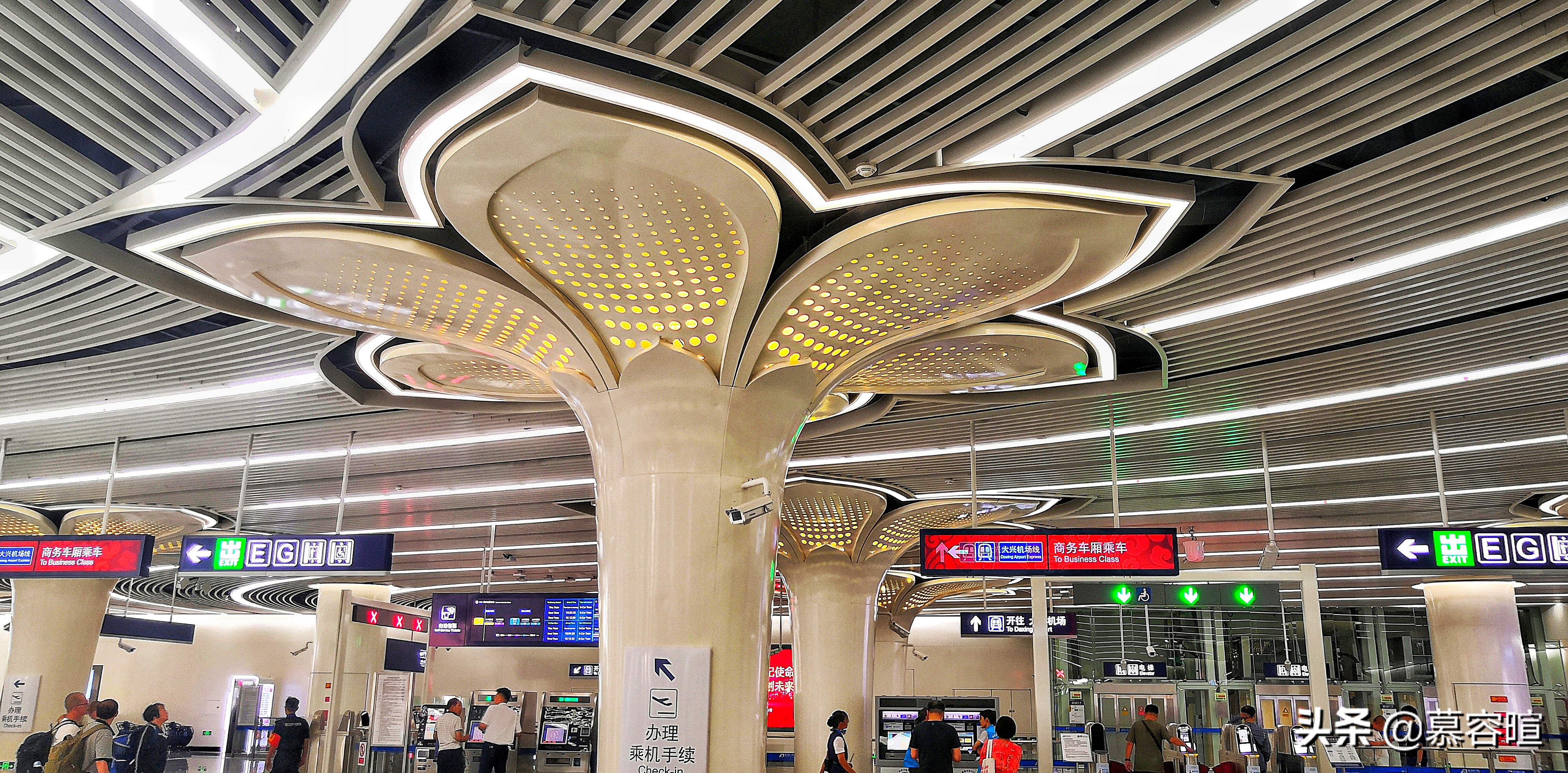 北京大兴免费景点网红打卡,大兴网红打卡旅游景区