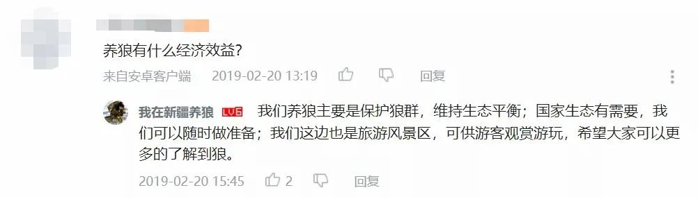 哈士奇养成狼,狼被养成了哈士奇